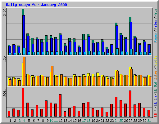 Daily usage for January 2009