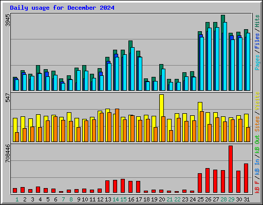 Daily usage for December 2024