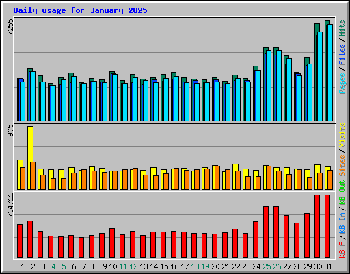 Daily usage for January 2025