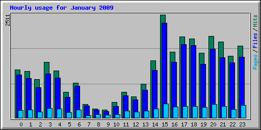 Hourly usage for January 2009