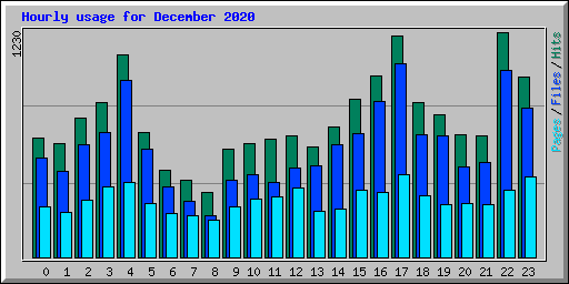 Hourly usage for December 2020