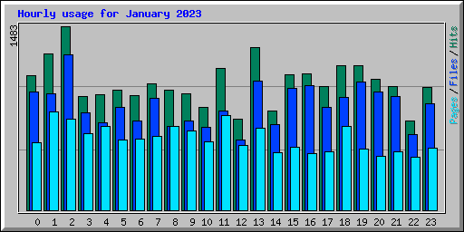 Hourly usage for January 2023