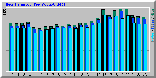 Hourly usage for August 2023