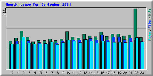Hourly usage for September 2024