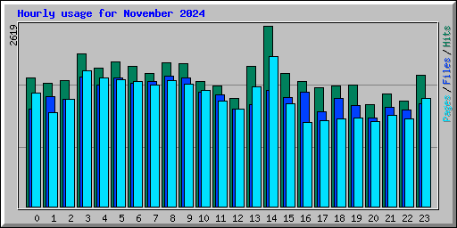 Hourly usage for November 2024