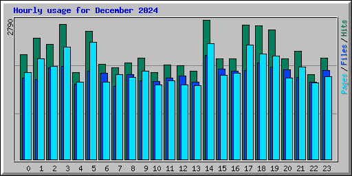 Hourly usage for December 2024