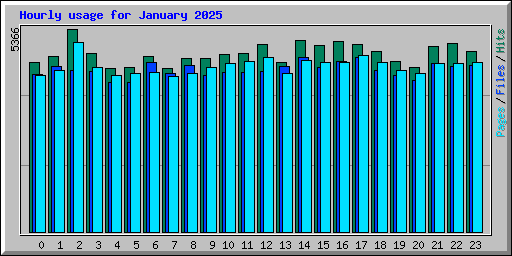 Hourly usage for January 2025