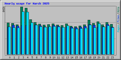 Hourly usage for March 2025