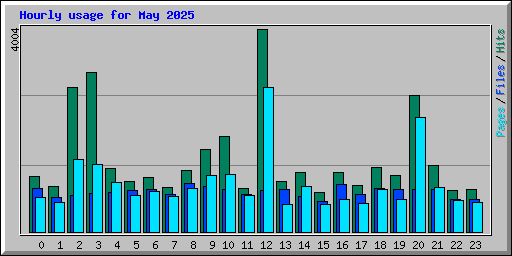 Hourly usage for May 2025