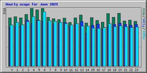 Hourly usage for June 2025
