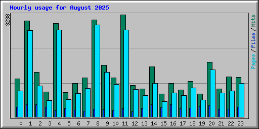 Hourly usage for August 2025